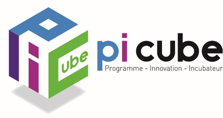 Témoignage Picube webinars crowdfunding